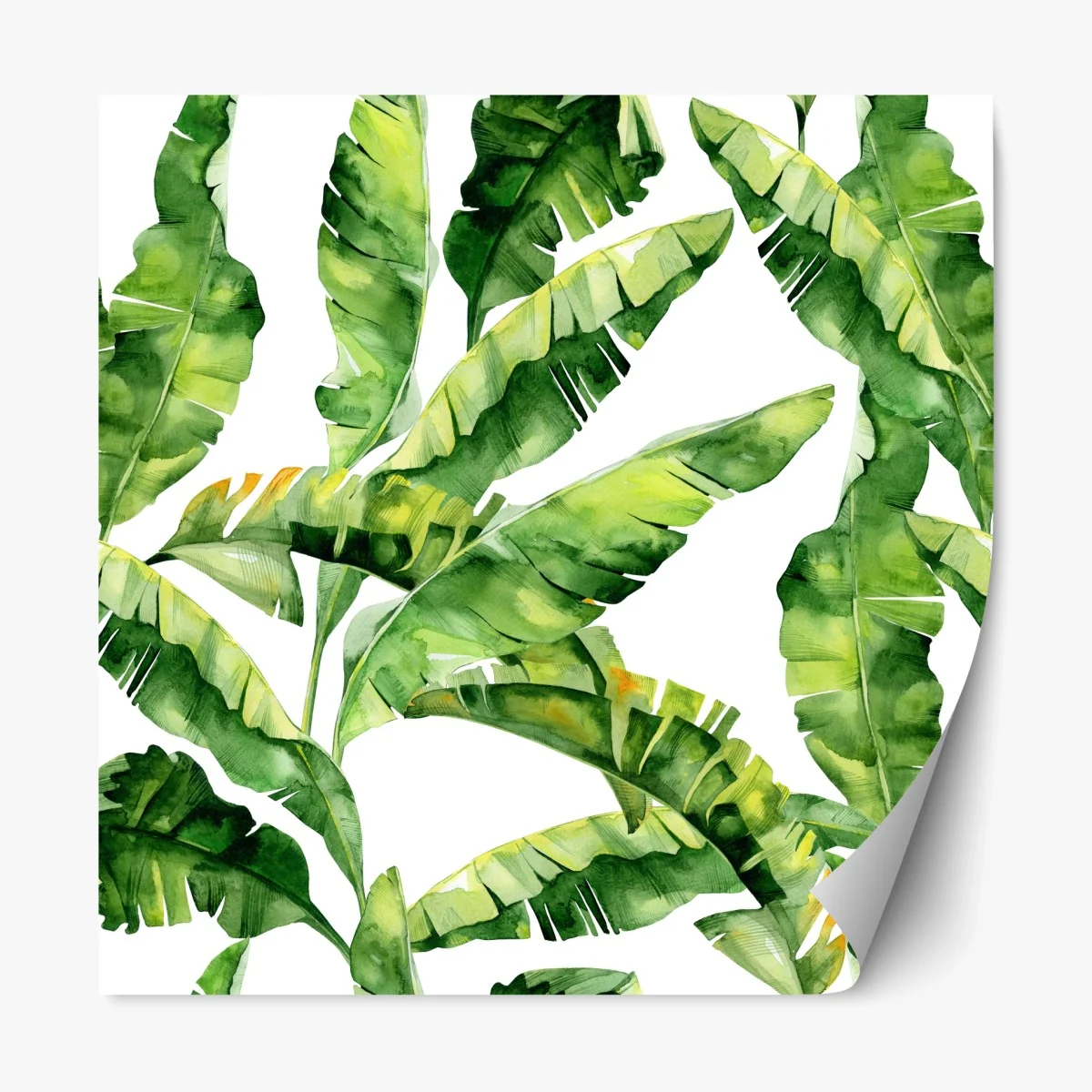 Adesivo riposizionabile fogliame tropicale ad acquerello • Wallissimo® Adesivo riposizionabile fogliame tropicale ad acquerello • Wallissimo®