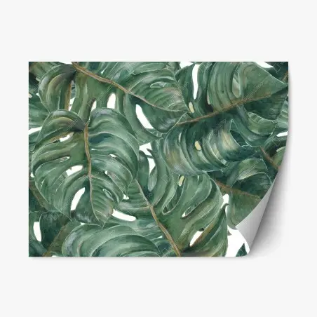Adesivo riposizionabile motivo botanico di foglie di monstera • Wallissimo®