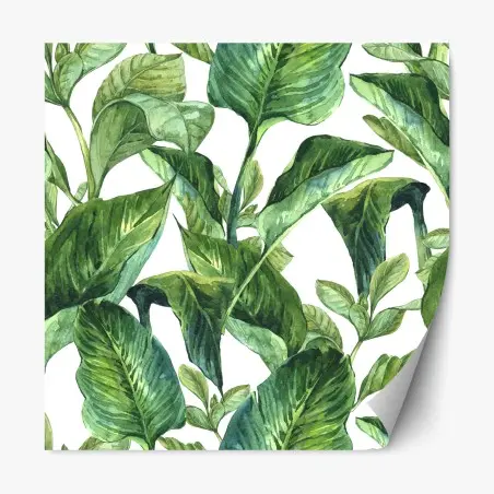 Adesivo riposizionabile motivo botanico di foglie tropicali in acquerello • Wallissimo®
