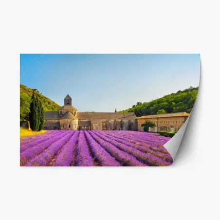 Adesivo riposizionabile tramonto all'abbazia di Sénanque tra campi di lavanda • Wallissimo®