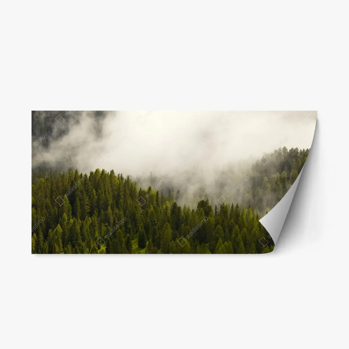 Adesivo riposizionabile sussurro di nebbia nella foresta • Wallissimo®