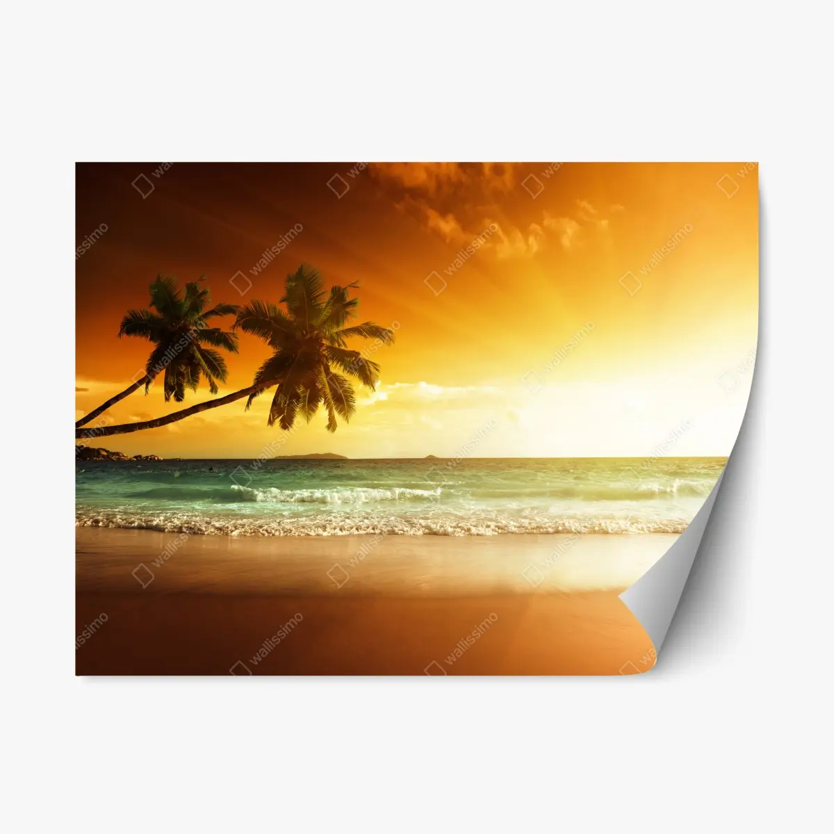 Adesivo riposizionabile tramonto dorato sui Caraibi • Wallissimo®