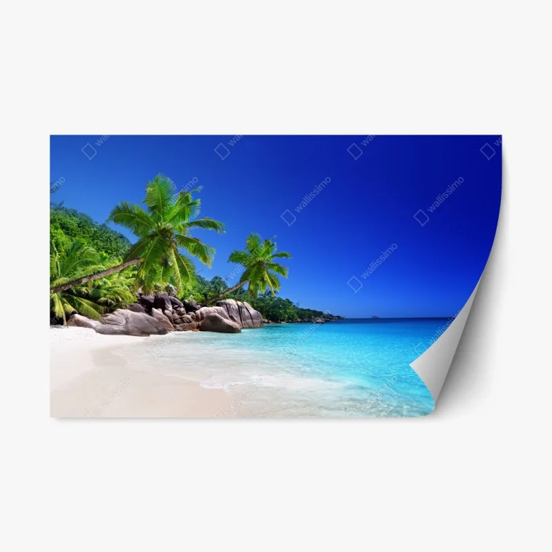 Adesivo riposizionabile vista tropicale di palme e mare cristallino