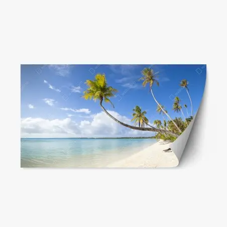 Adesivo riposizionabile oasi tropicale: palme e mare cristallino • Wallissimo®