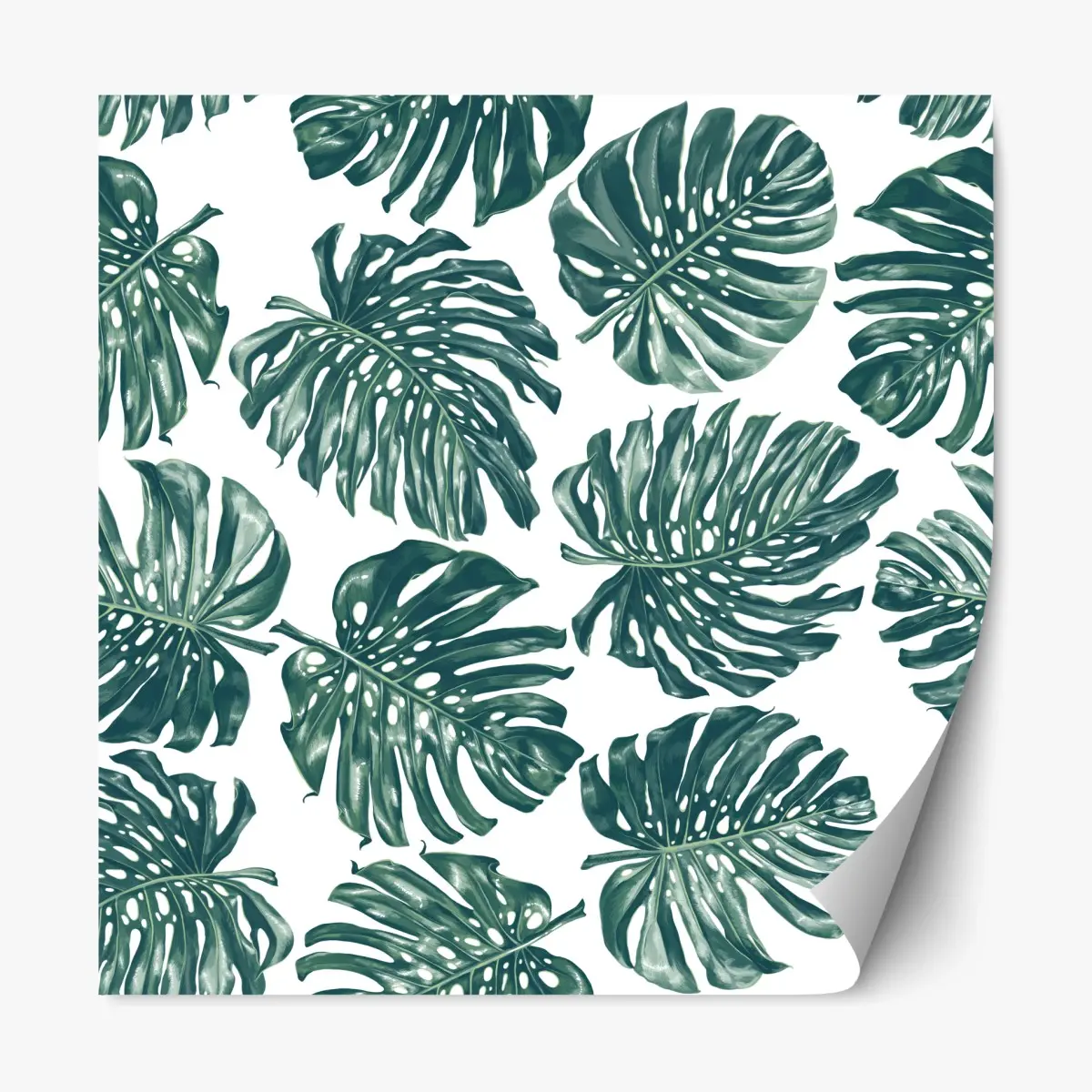 Adesivo riposizionabile design botanico con foglie di monstera su sfondo bianco • Wallissimo® Adesivo riposizionabile design botanico con foglie di monstera su sfondo bianco • Wallissimo®