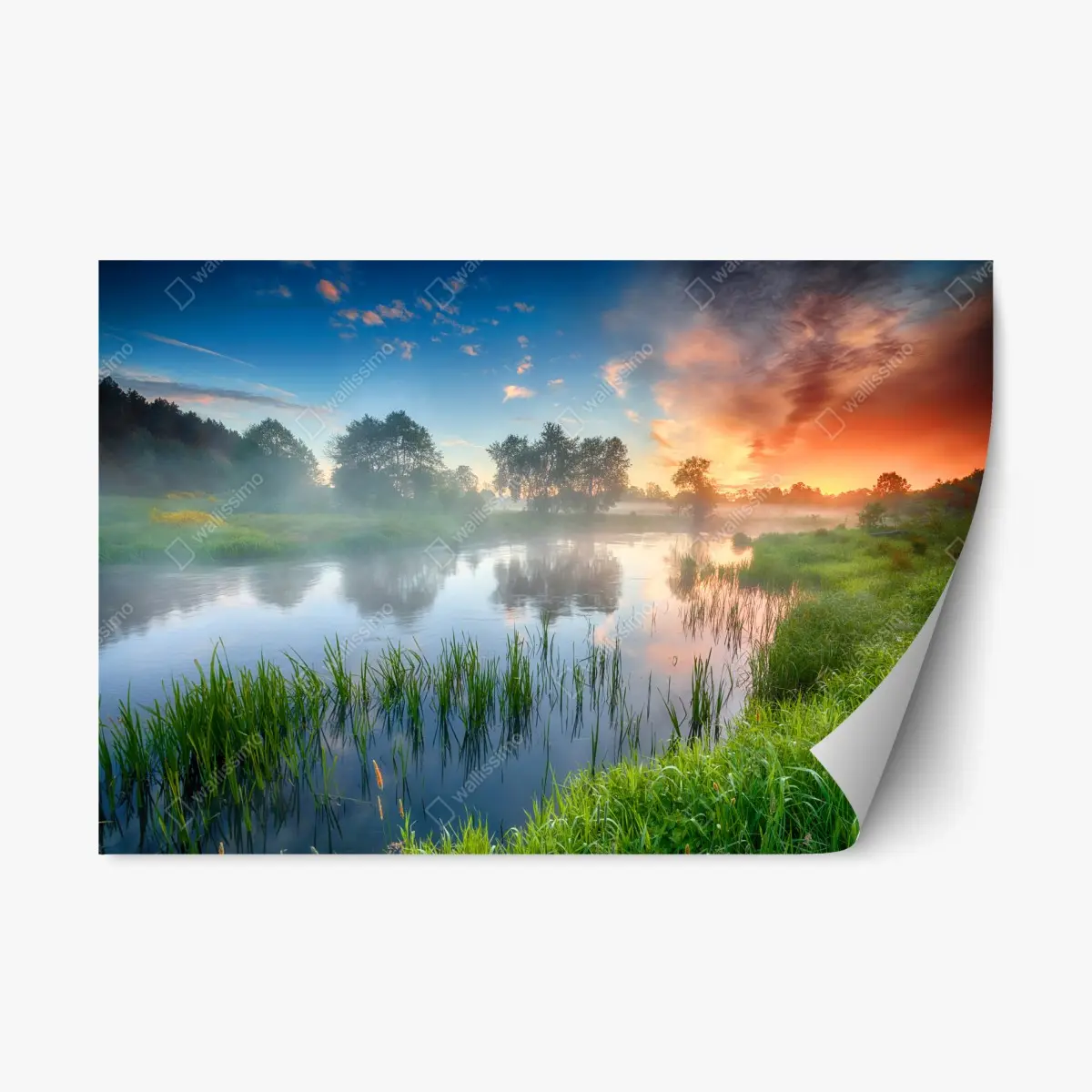 Adesivo riposizionabile alba dorata sul fiume • Wallissimo®