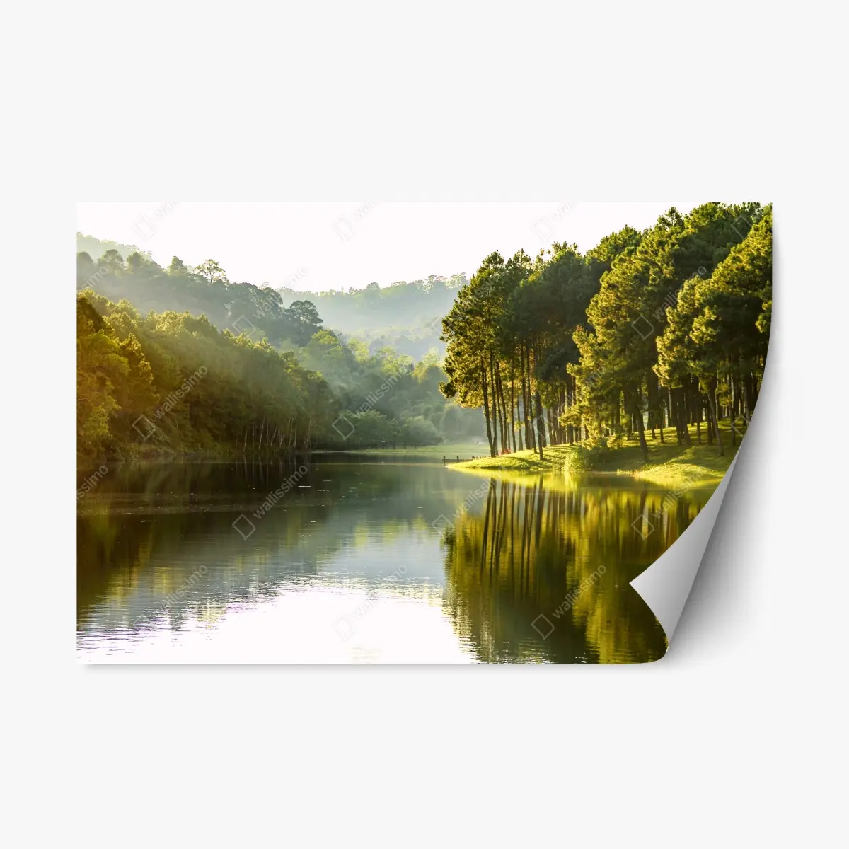 Adesivo riposizionabile paesaggio di pini sul lago • Wallissimo®