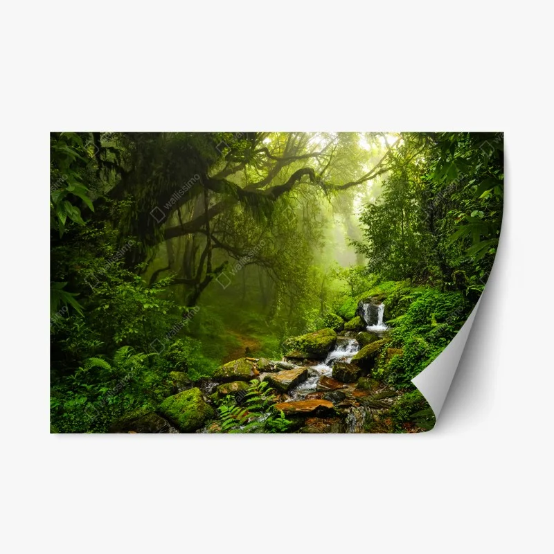 Adesivo riposizionabile paesaggio verde: ruscello nella foresta incantata