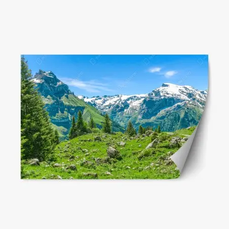 Adesivo riposizionabile panorama alpino di Engelberg • Wallissimo®