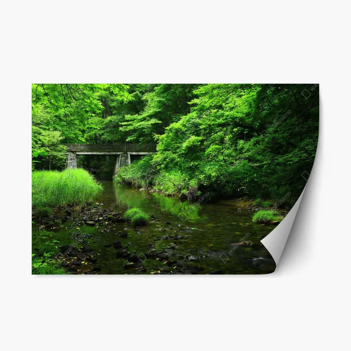 Adesivo riposizionabile oasi verde sul ruscello • Wallissimo®