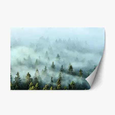 Adesivo riposizionabile foresta nebbiosa sulle montagne • Wallissimo®
