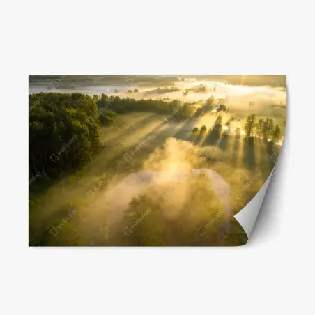 Adesivo riposizionabile alba dorata sul fiume nebbioso • Wallissimo®