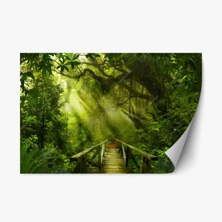Adesivo riposizionabile passerella nella foresta incantata • Wallissimo®