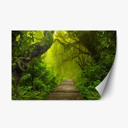 Adesivo riposizionabile sentiero incantato nella foresta verde • Wallissimo®