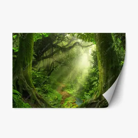 Adesivo riposizionabile sentiero incantato nella foresta verde • Wallissimo®