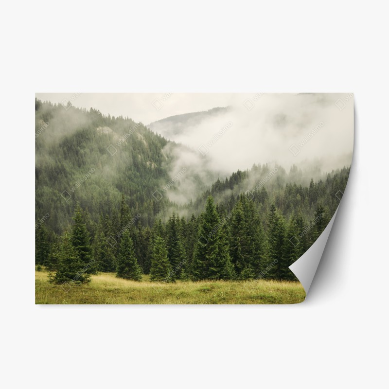 Adesivo riposizionabile foresta di montagna avvolta nella nebbia