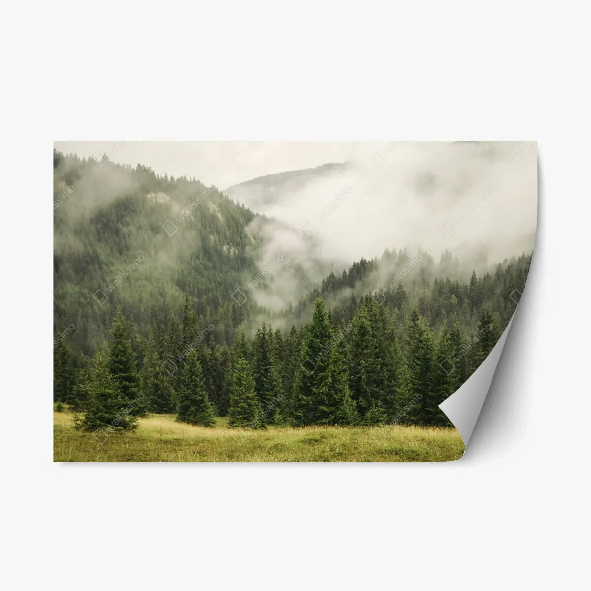 Adesivo riposizionabile foresta di montagna avvolta nella nebbia • Wallissimo®