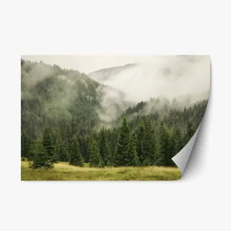 Adesivo riposizionabile foresta di montagna avvolta nella nebbia • Wallissimo®