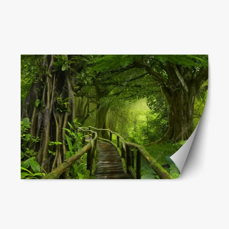 Adesivo riposizionabile sentiero incantato nella giungla