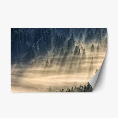 Adesivo riposizionabile valle di abeti avvolta dalla nebbia dorata • Wallissimo®
