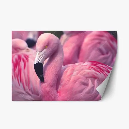Adesivo riposizionabile eleganza del fenicottero rosa • Wallissimo®