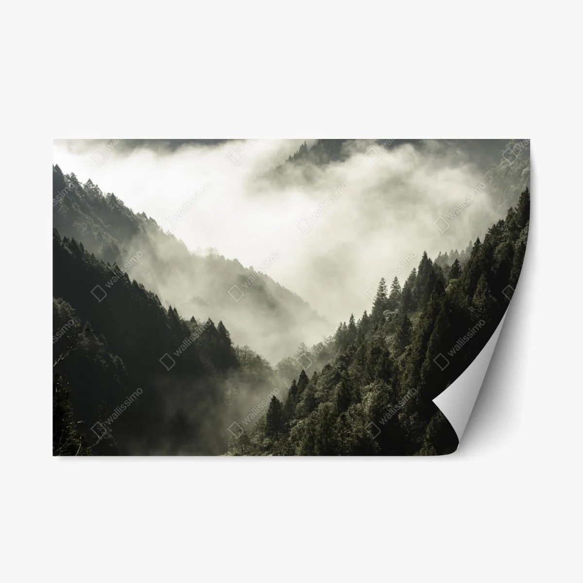 Adesivo riposizionabile valle avvolta nella nebbia • Wallissimo® Adesivo riposizionabile valle avvolta nella nebbia • Wallissimo®