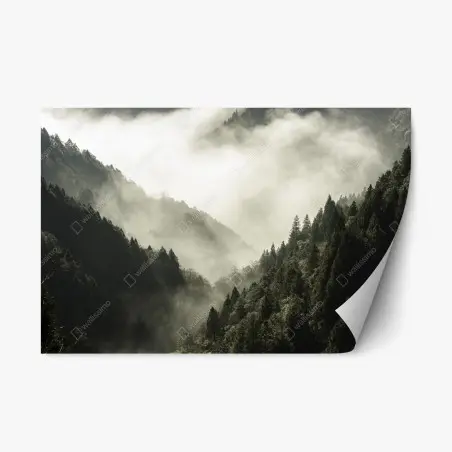 Adesivo riposizionabile valle avvolta nella nebbia • Wallissimo®