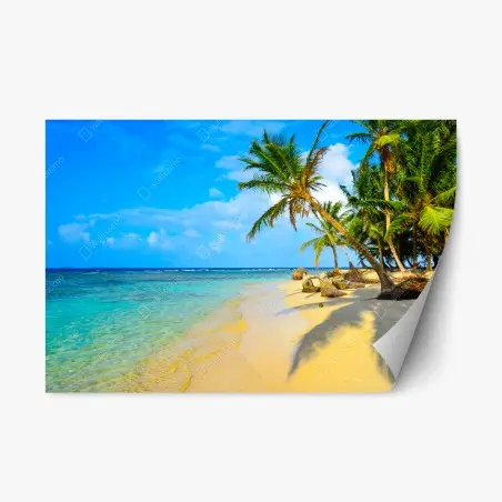 Adesivo riposizionabile spiaggia tropicale al sole • Wallissimo®