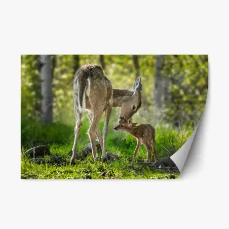 Adesivo riposizionabile mamma cervo e cerbiatto nel bosco • Wallissimo®