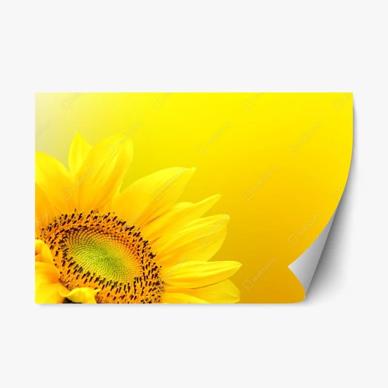 Adesivo riposizionabile girasole luminoso su sfondo giallo