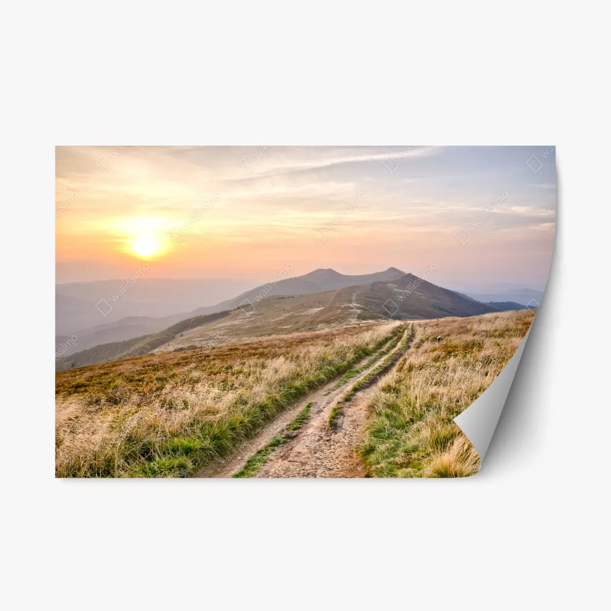 Adesivo riposizionabile sentiero al tramonto tra le colline • Wallissimo®