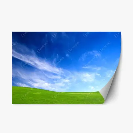 Adesivo riposizionabile prato verde sotto un cielo azzurro • Wallissimo®