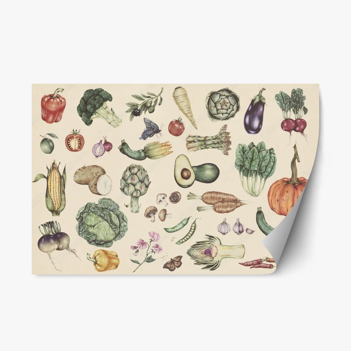 Adesivo riposizionabile motivo botanico di verdure disegnate a mano • Wallissimo® Adesivo riposizionabile motivo botanico di verdure disegnate a mano • Wallissimo®