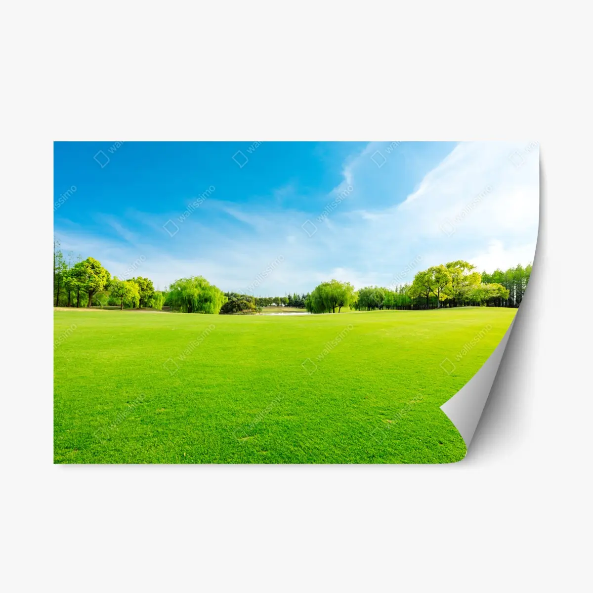 Adesivo riposizionabile paesaggio primaverile: prato verde e alberi • Wallissimo®