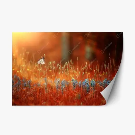 Adesivo riposizionabile romantico tramonto con farfalla su prato fiorito • Wallissimo®