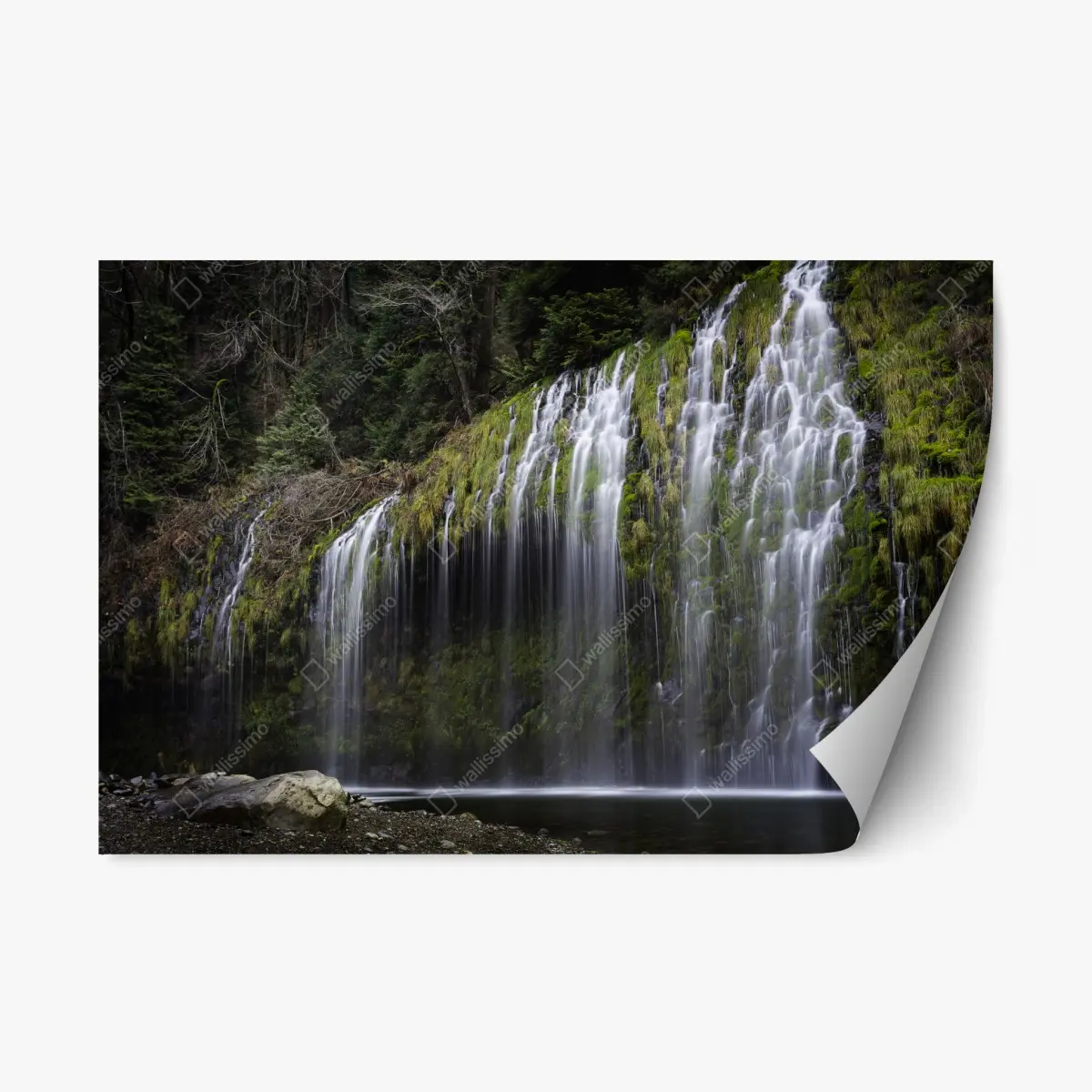 Adesivo riposizionabile cascata di muschio nella foresta • Wallissimo®