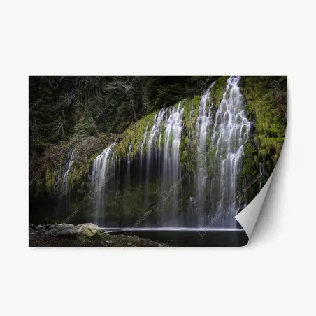 Adesivo riposizionabile cascata di muschio nella foresta • Wallissimo®