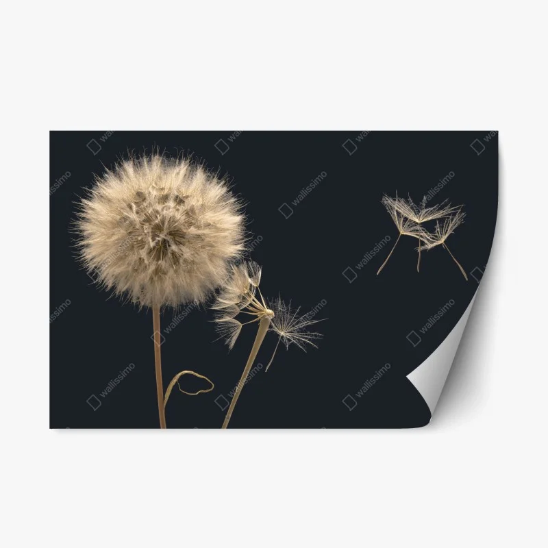 Adesivo riposizionabile soffione sospeso su sfondo scuro