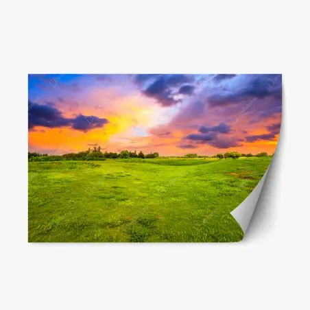 Adesivo riposizionabile tramonto sul prato verde • Wallissimo®