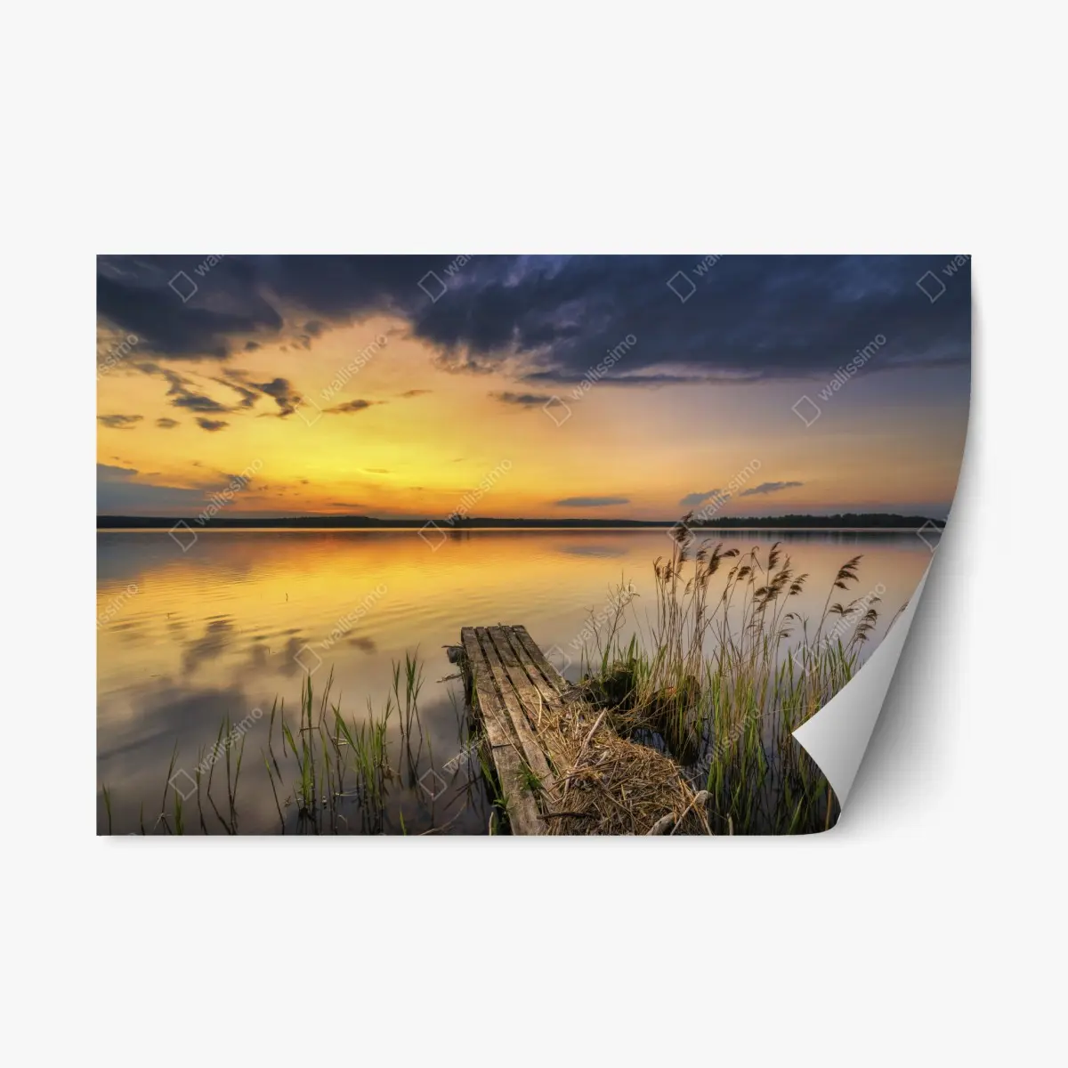 Adesivo riposizionabile tramonto dorato sul lago • Wallissimo®