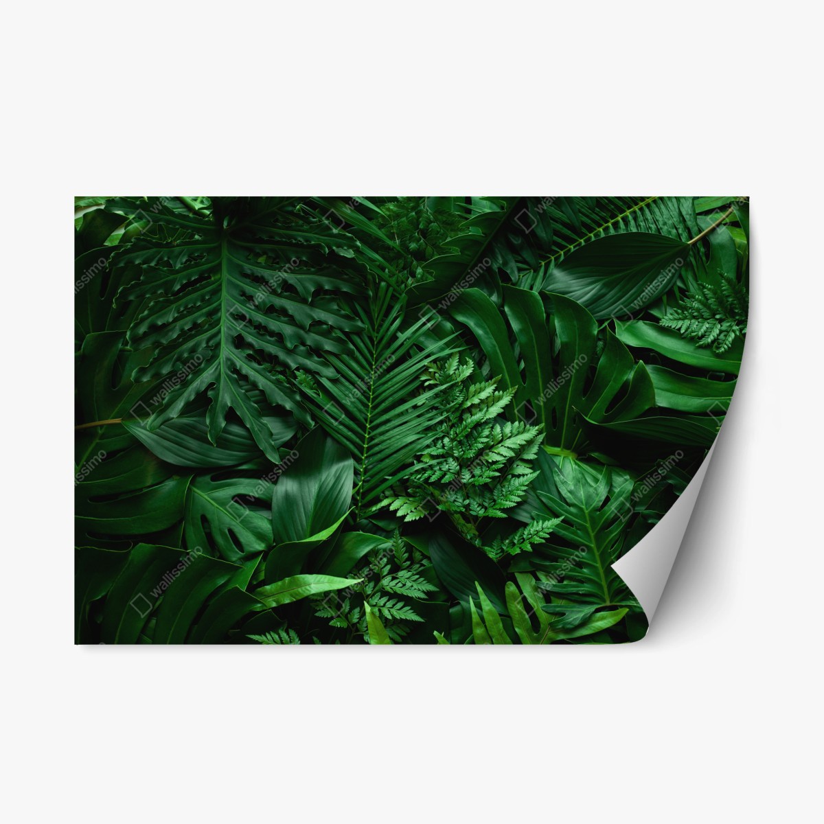 Adesivo riposizionabile mosaico di foglie tropicali • Wallissimo® Adesivo riposizionabile mosaico di foglie tropicali • Wallissimo®