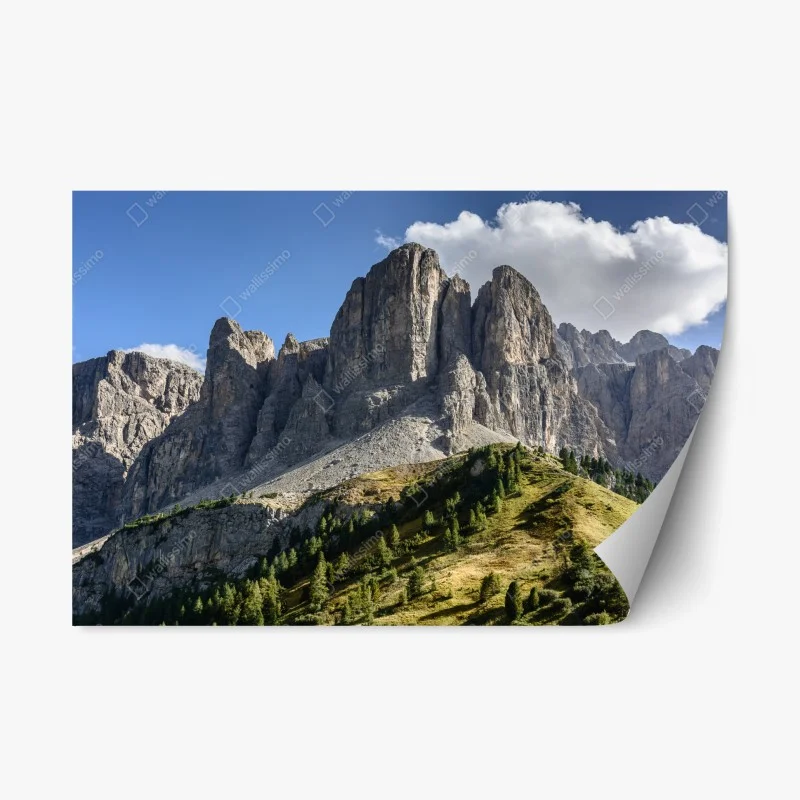 Adesivo riposizionabile panorama alpino: cime rocciose e prati verdi