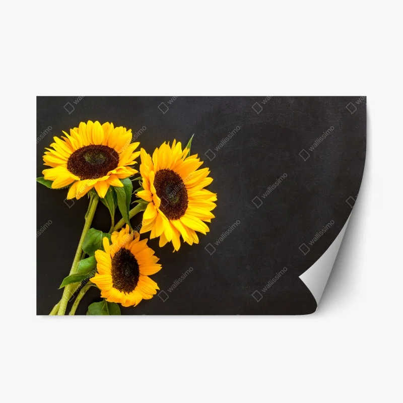 Adesivo riposizionabile girasoli luminosi su sfondo scuro