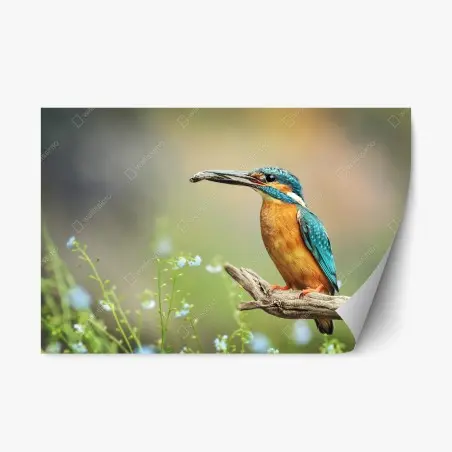Adesivo riposizionabile martin pescatore su ramo in primo piano • Wallissimo®