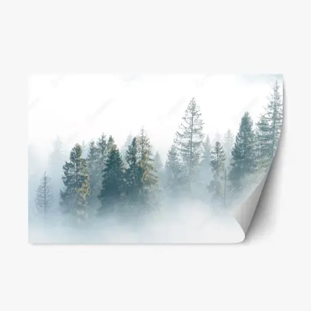 Adesivo riposizionabile nebbia tra gli abeti: silenzio mattutino • Wallissimo®