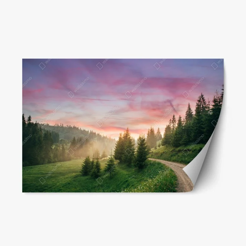 Adesivo riposizionabile tramonto rosa nella foresta: sentiero tra le colline