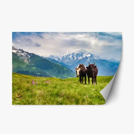 Adesivo riposizionabile mucche al pascolo sulle Alpi • Wallissimo®