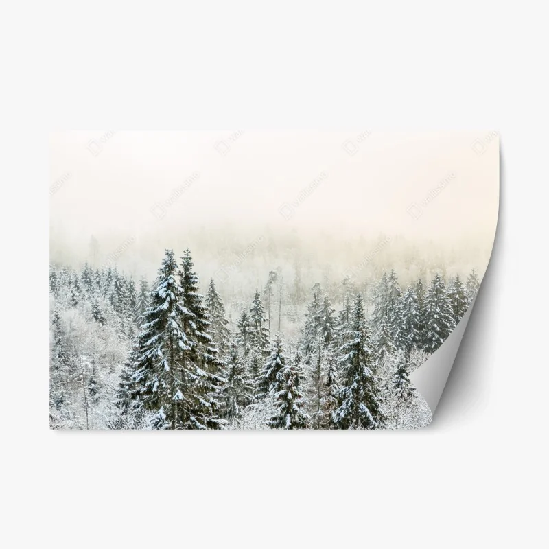 Adesivo riposizionabile foresta innevata nella nebbia