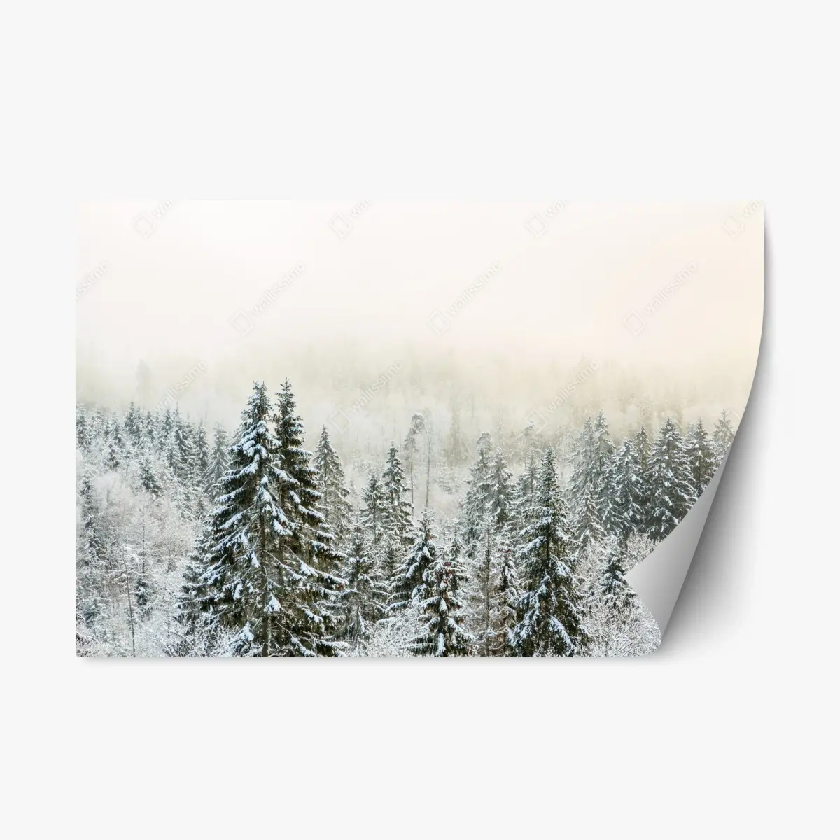 Adesivo riposizionabile foresta innevata nella nebbia • Wallissimo®