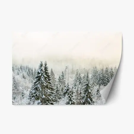Adesivo riposizionabile foresta innevata nella nebbia • Wallissimo®